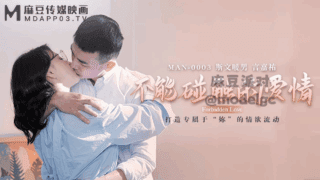 Love That Cannot Be Touched – Zhong Wanbing